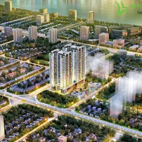 Dự án TP HCM 